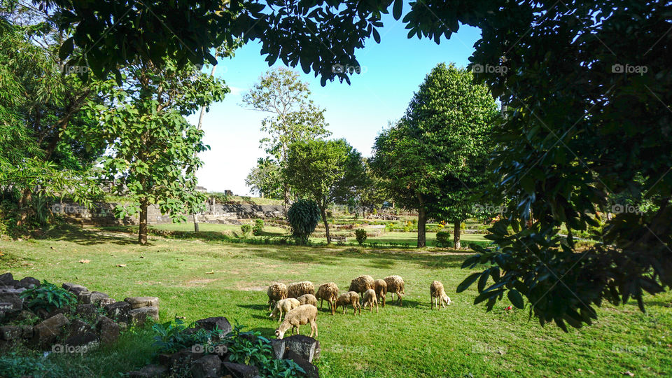 The ruins inside ratu boko palace yogyakarta indonesia