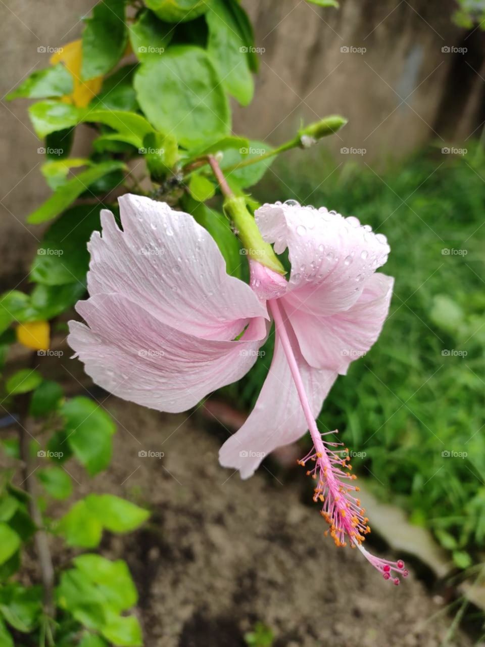 Nature never goes out of style