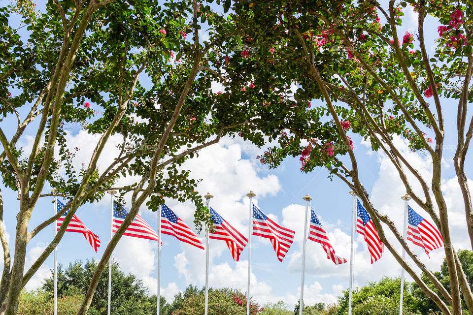 Row of American flags