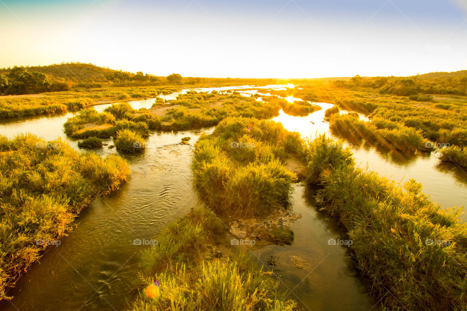 Sunset over grass and river. Image of Olifantsrivier in Africa, Kruger National Park South Africa