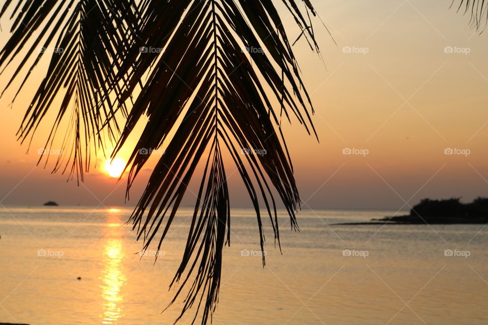 Sonnenuntergang auf den Malediven 