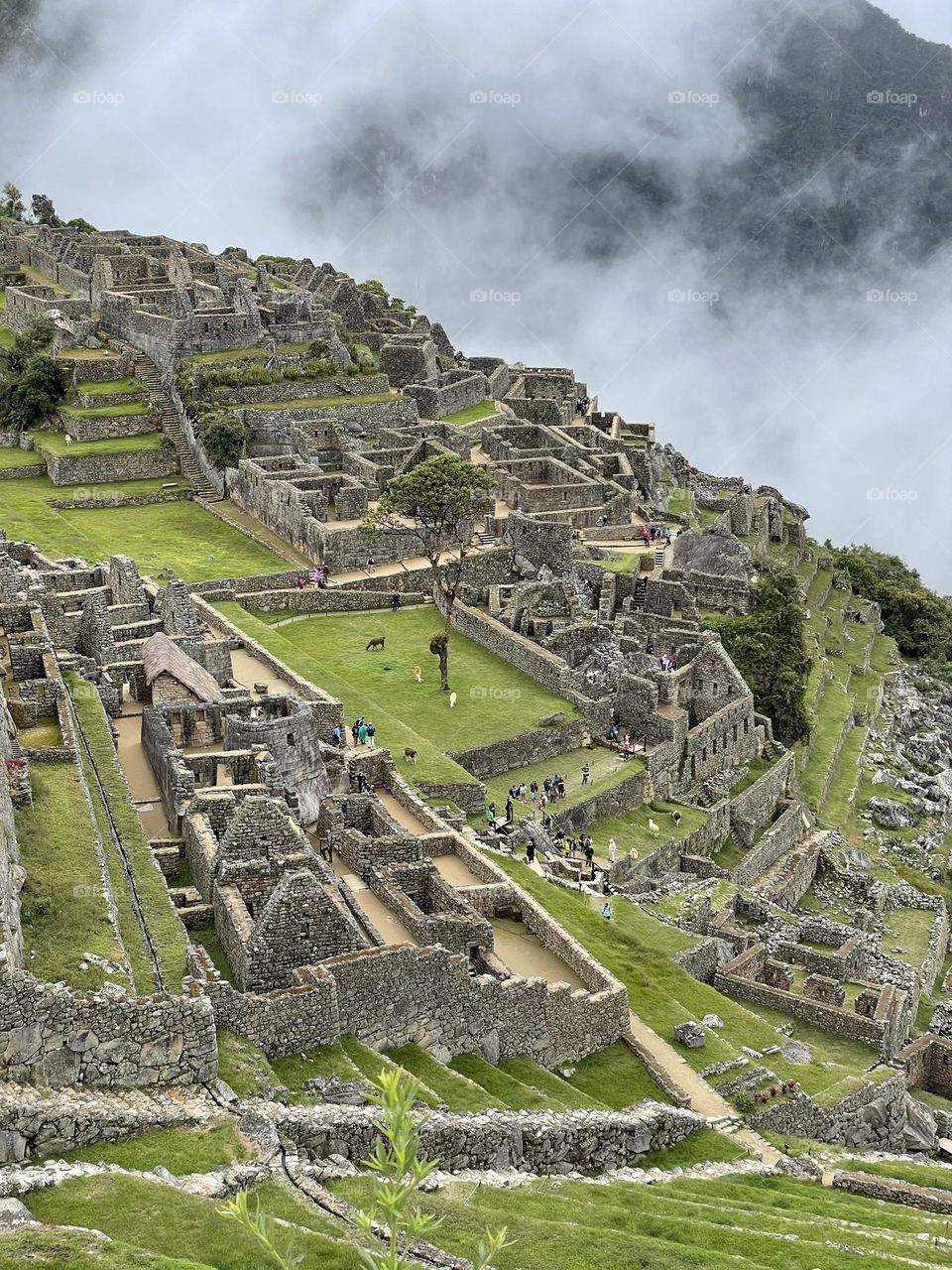 Macchupicchu in a cloud of mist