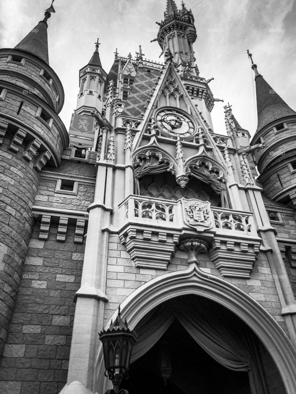 Magic kingdom castle upshot from the back side with great value and texture and strong composition 