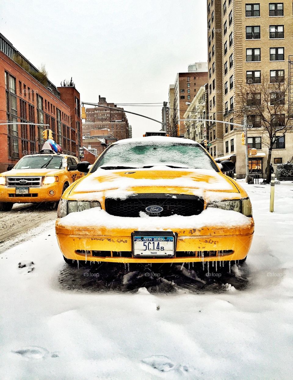Fresh Snow Fall and New York Cabs