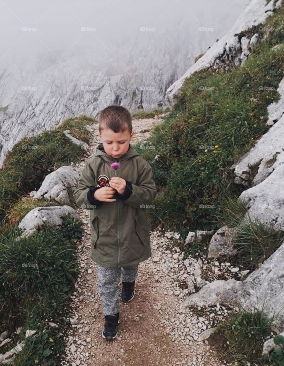 Enchanted Lens exploring the magic forest mission