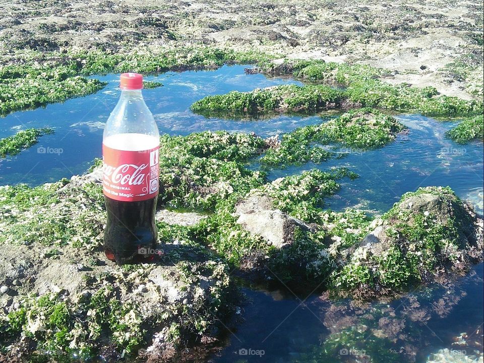 delicious bottle of fresh coca cola.