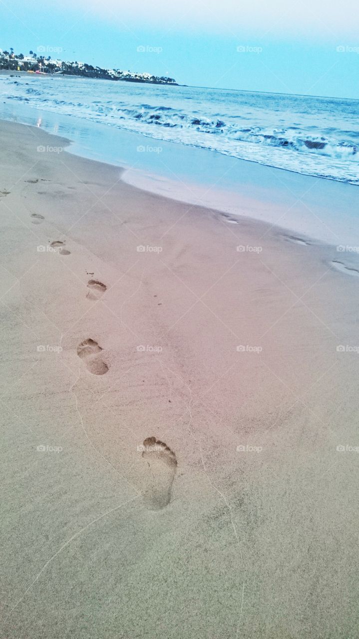 Scenic view of beach