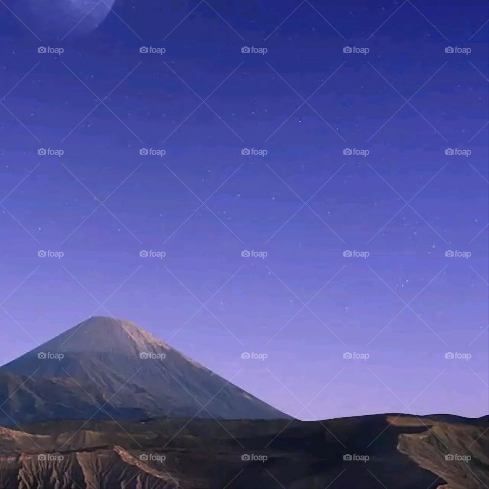 A very beautiful picture, and there is no better picture than it. There is no better picture of green herbs and colorful, red and white roses than it. Glory be to God, the natural and picturesque view, and there is no more