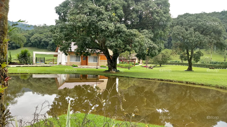 LAGO ÁRVORE CASA GRAMADO