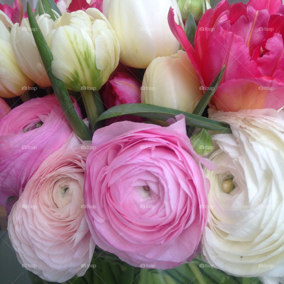 A bundle of ranunculus flowers 