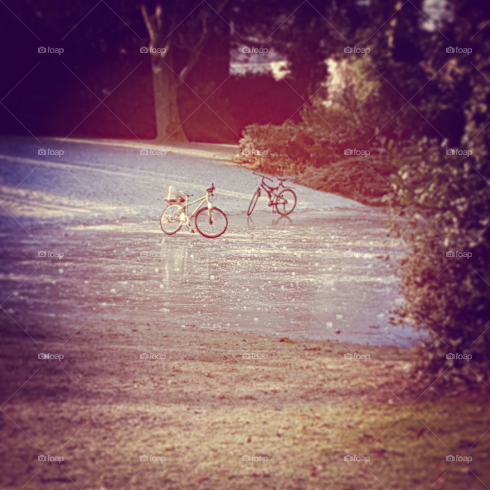bycicles on ice