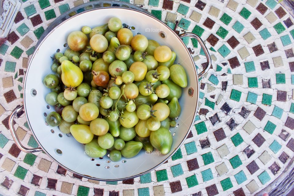 Freshly picked small tomatoes