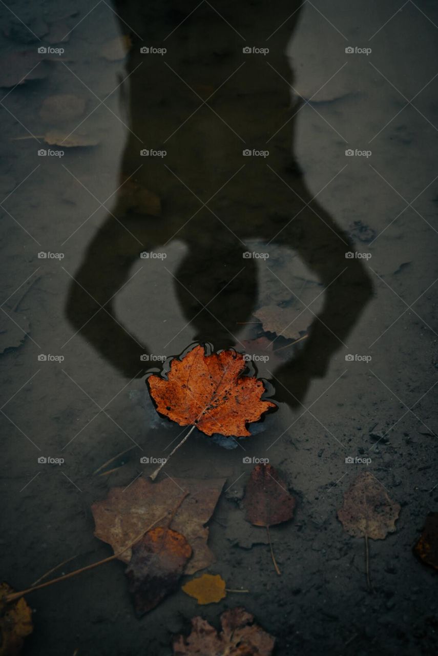 It's your time to shine, don't be afraid of the uphill battle ahead of you!!!