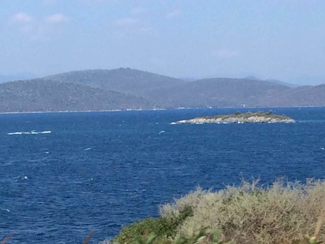 sea