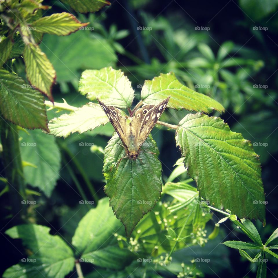 Hello little guy 💜