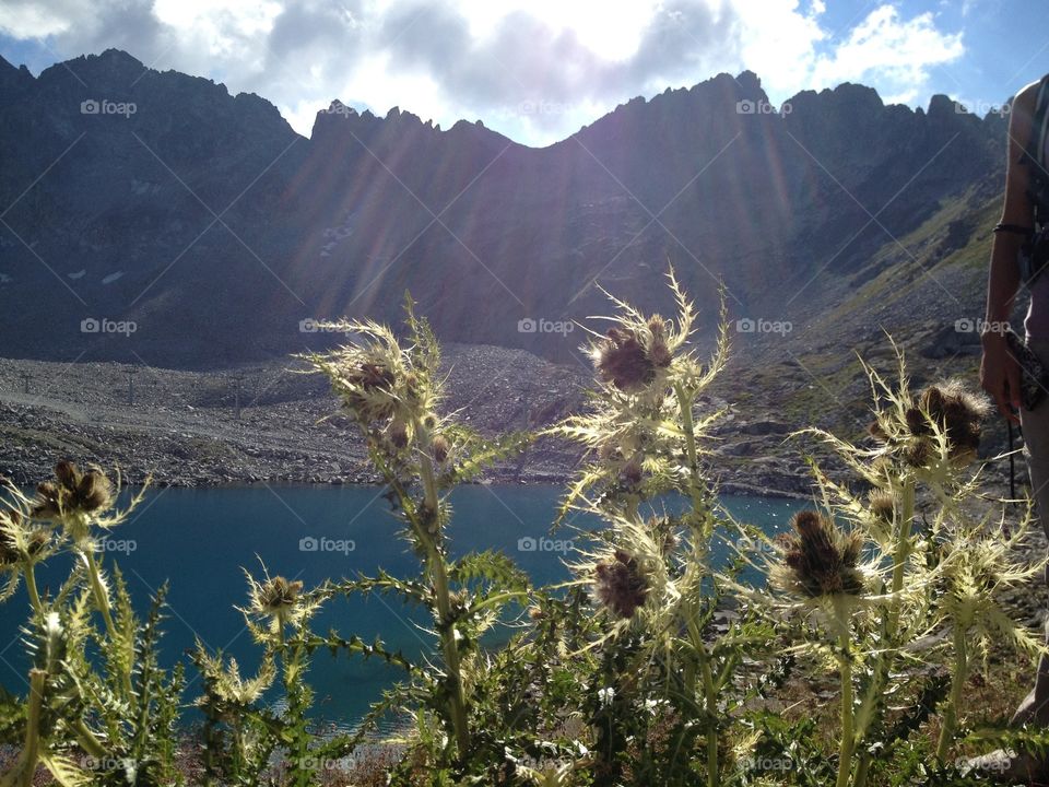 Plants in front of the mountains. Landscape took during my vacancy in Dolomiti,Italy