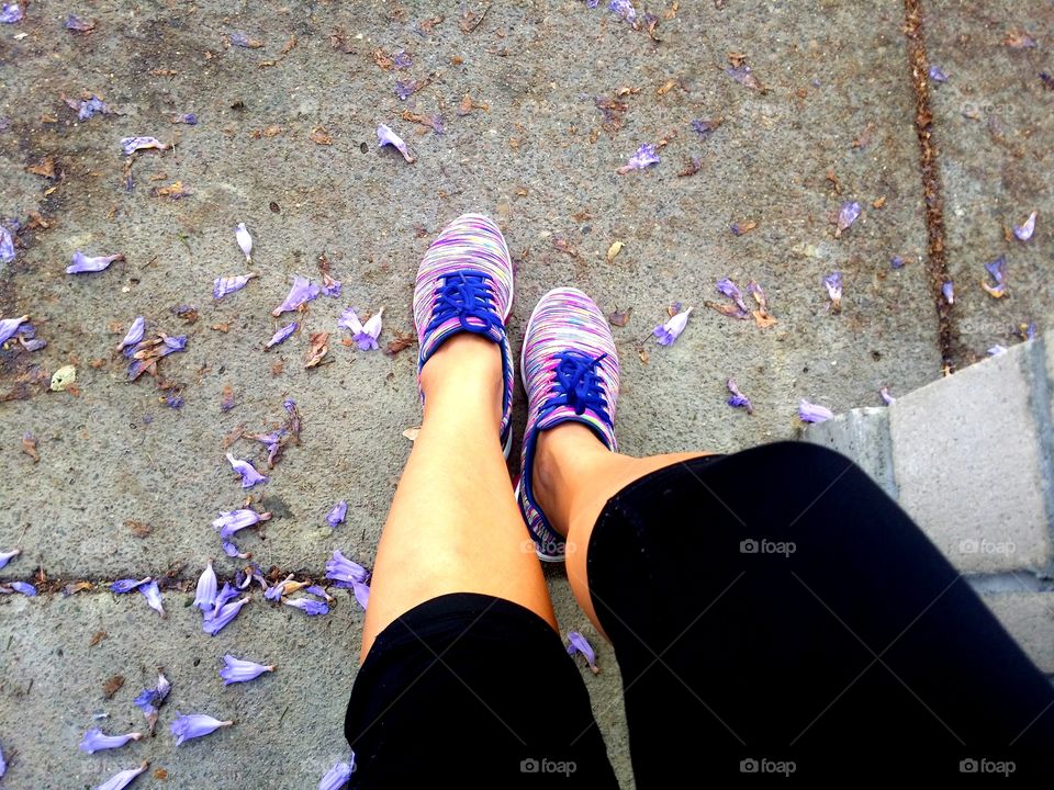 Urban gardens. A beautiful jacaranda tree! Look down!