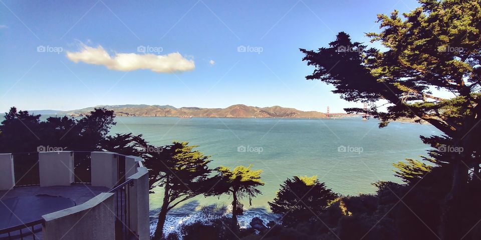 view of the Bay in San Francisco