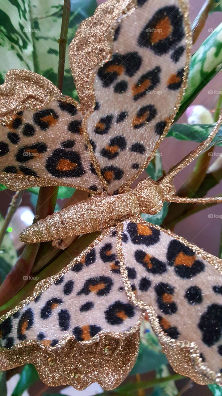 Beautiful macro shots