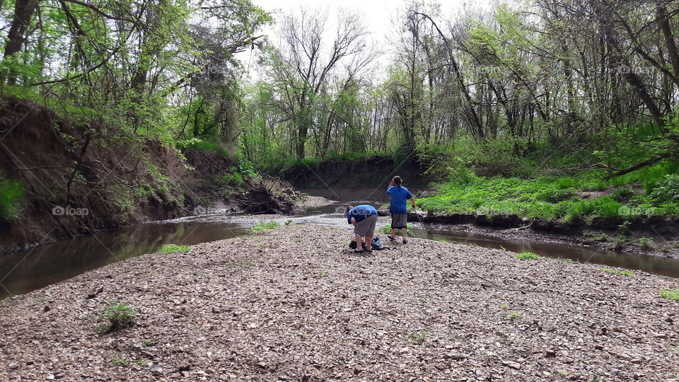 April Woodland Views