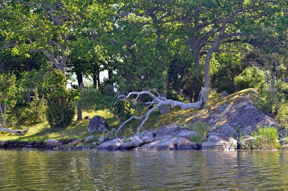 Kvalmsö naturreservat, Listerby