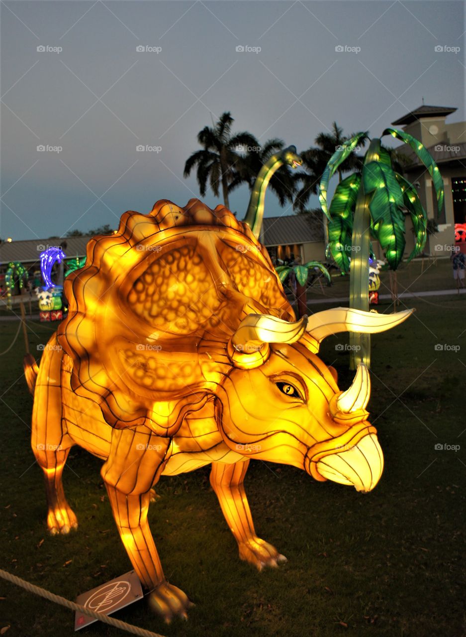 Keeping The Triceratops Light