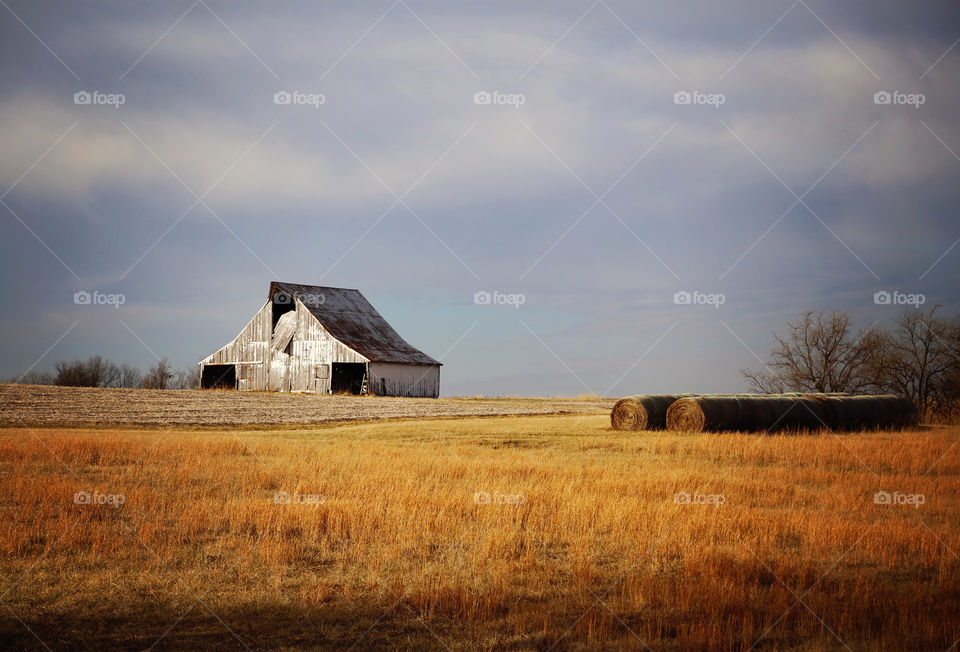 Barn in field
