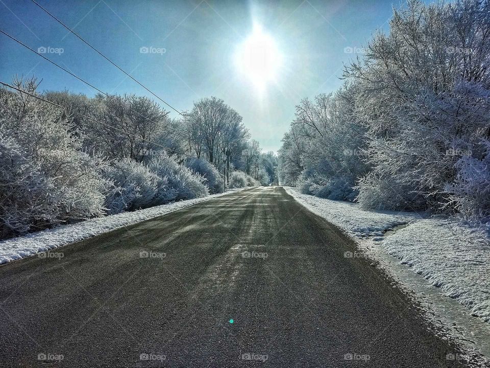 winter road