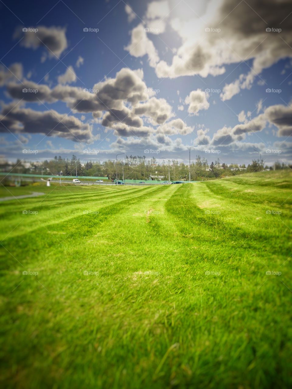 On the field in summertime.  Relaxing and enjoying the day.