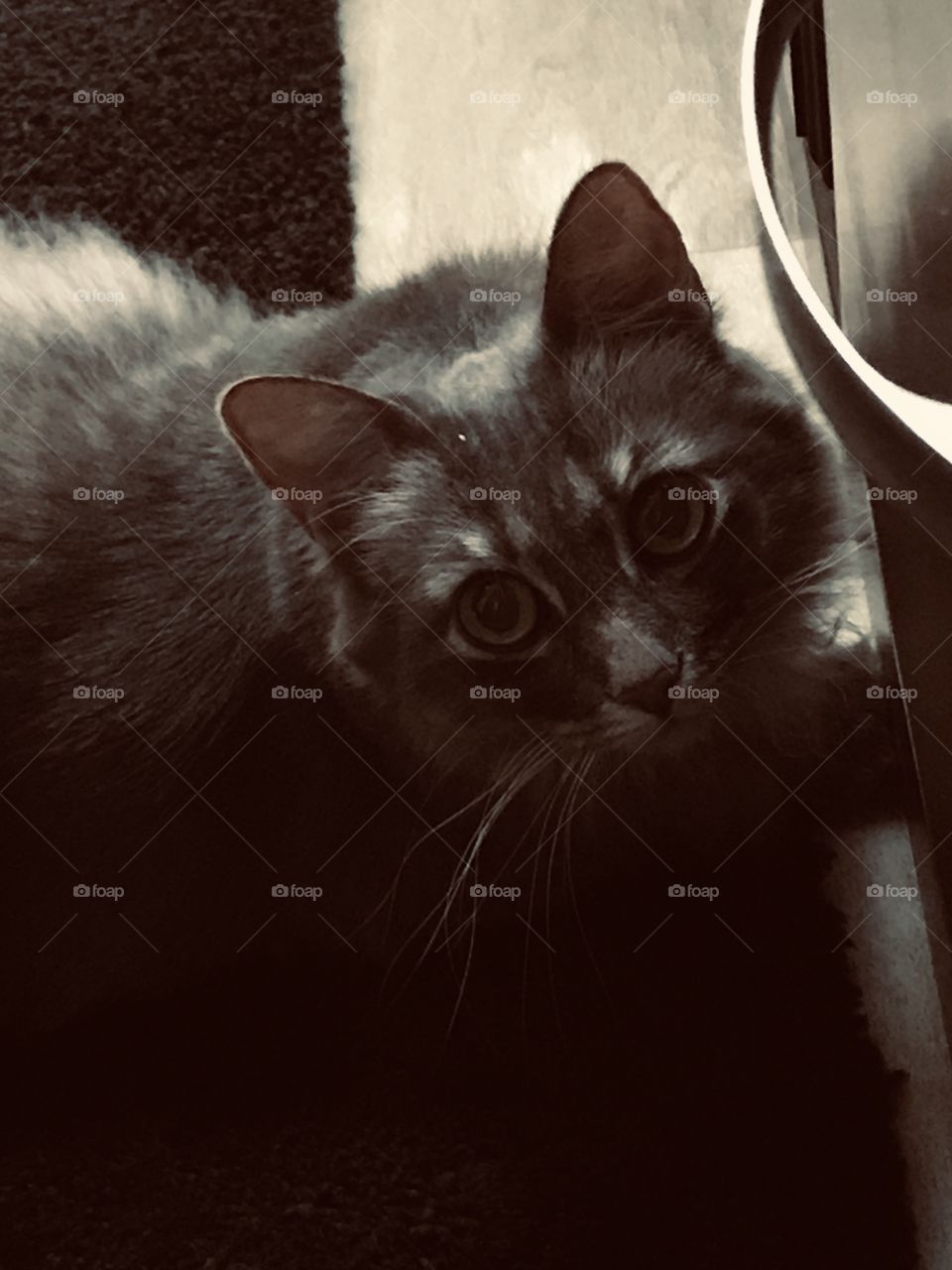 HaHa you have found my hiding spot. 