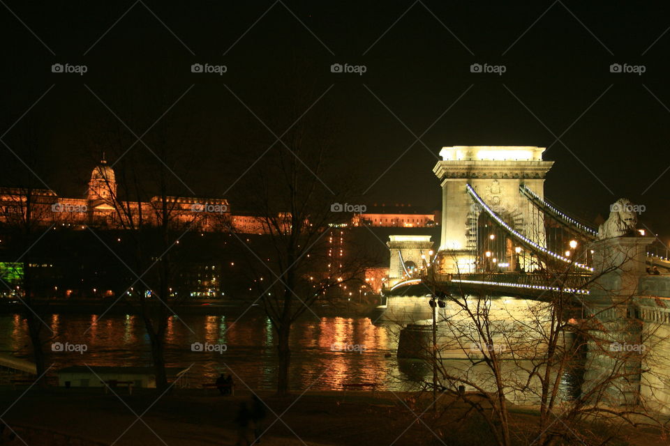 Lions Bridge,  Budapest,  Hungary.