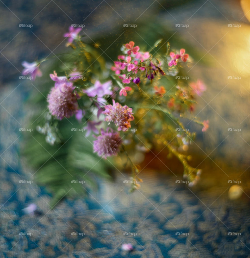 Bouquet of forest flowers in soft focus