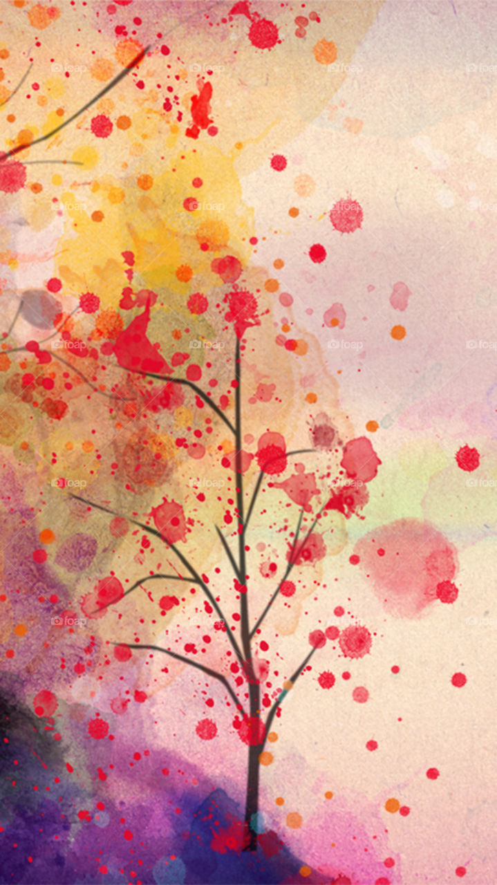 Drawing and paintings..