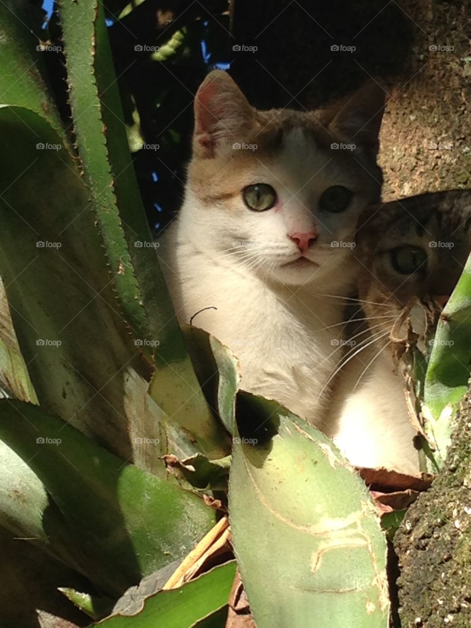 Mom teaching daughter how to keep safe home