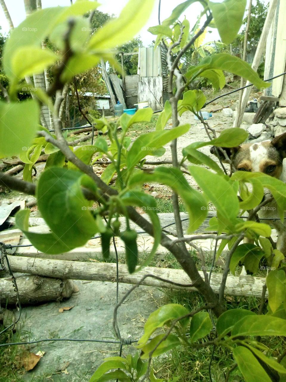 we love to take pictures of every thing we see and we enjoy the moment we take the pictures.