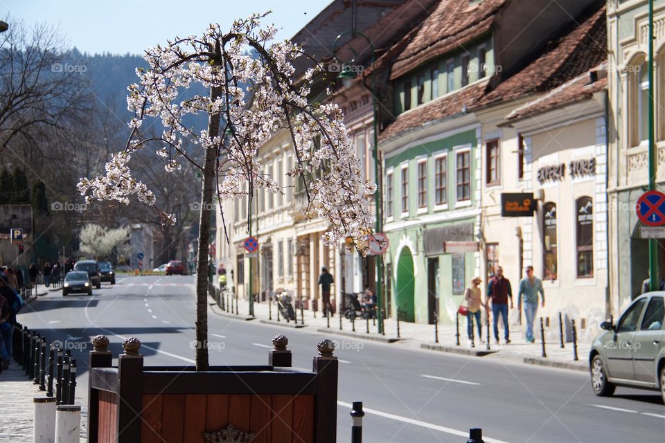 springtime in town, 
Brasov, Romania,