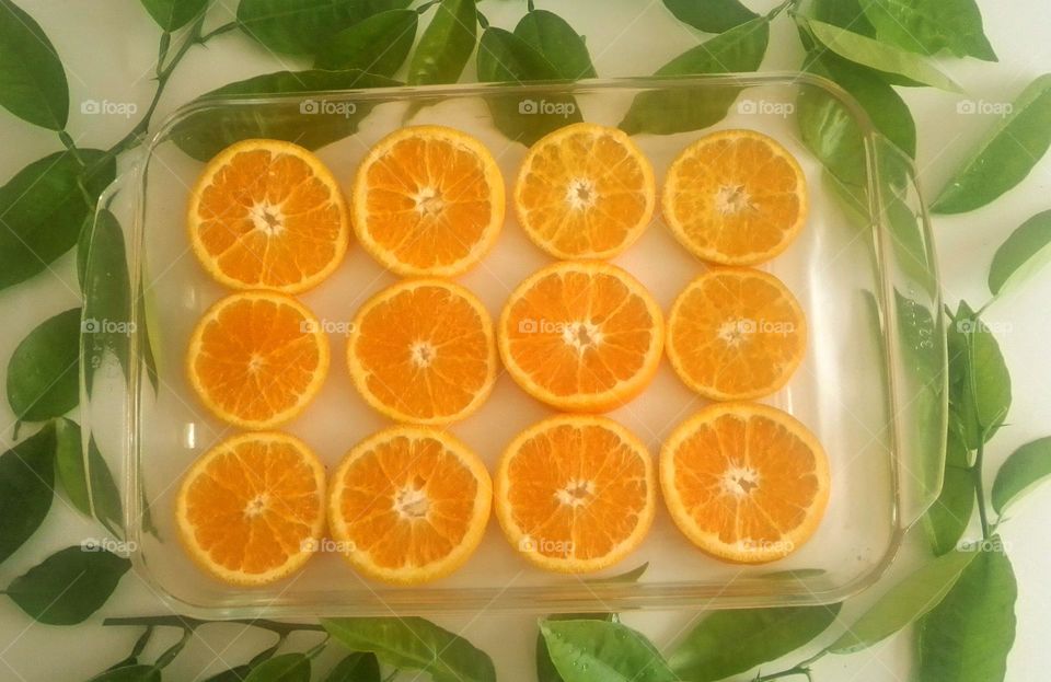 Geometry Series: Rectangle