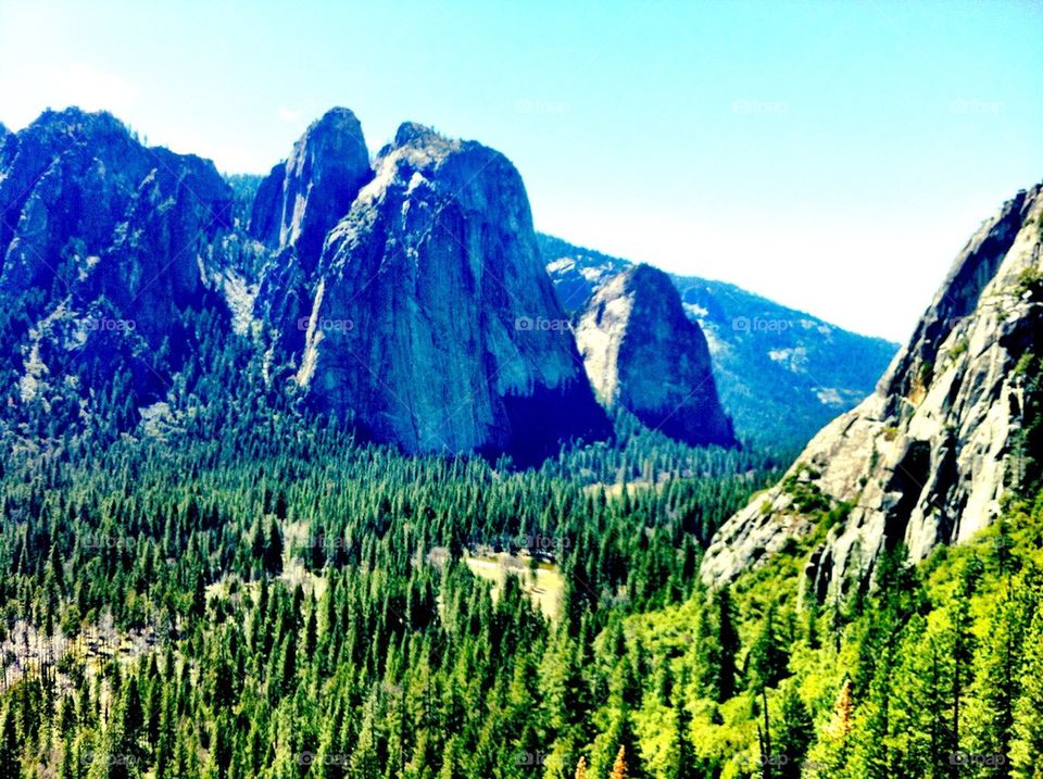 Yosemite Nature