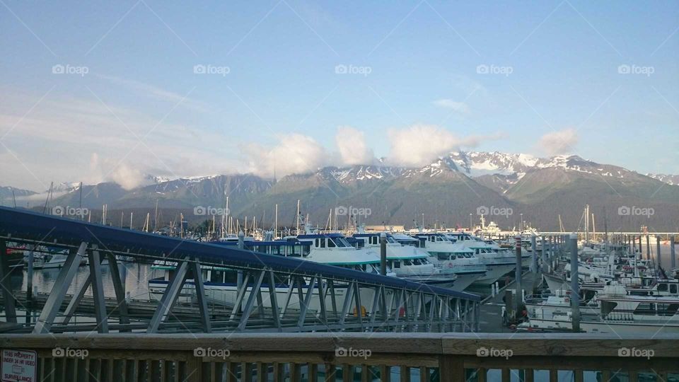 Seward Harbor.