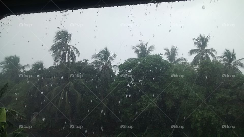 rainy season in bengal