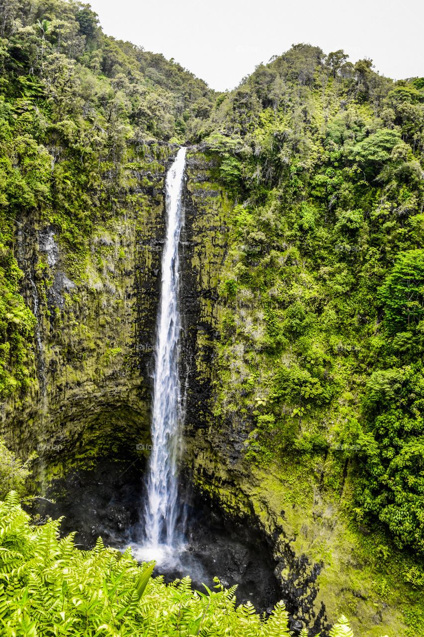 The 422-foot Akaka Falls on the Big Island of Hawaii