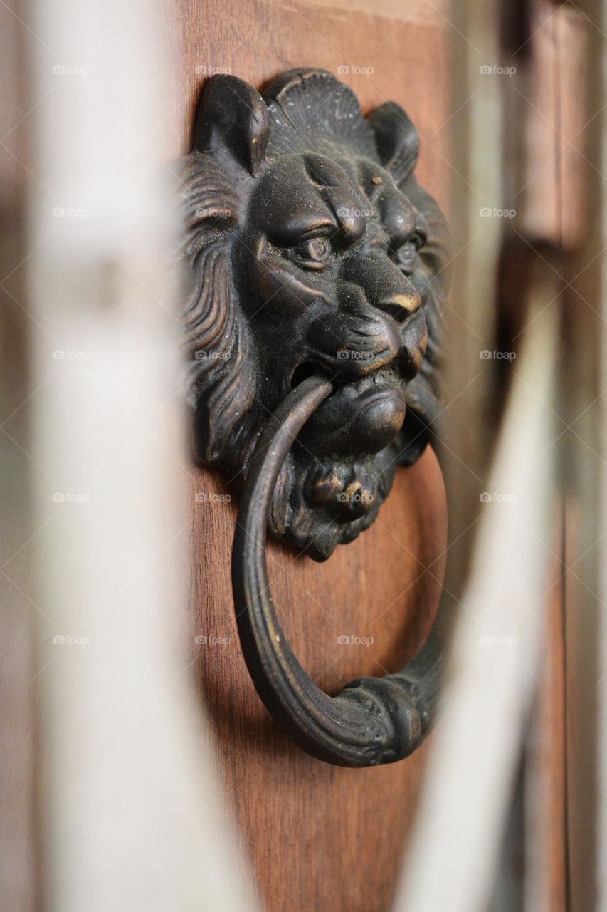 Antique Vintage Style Cast Iron Lion Door Knocker