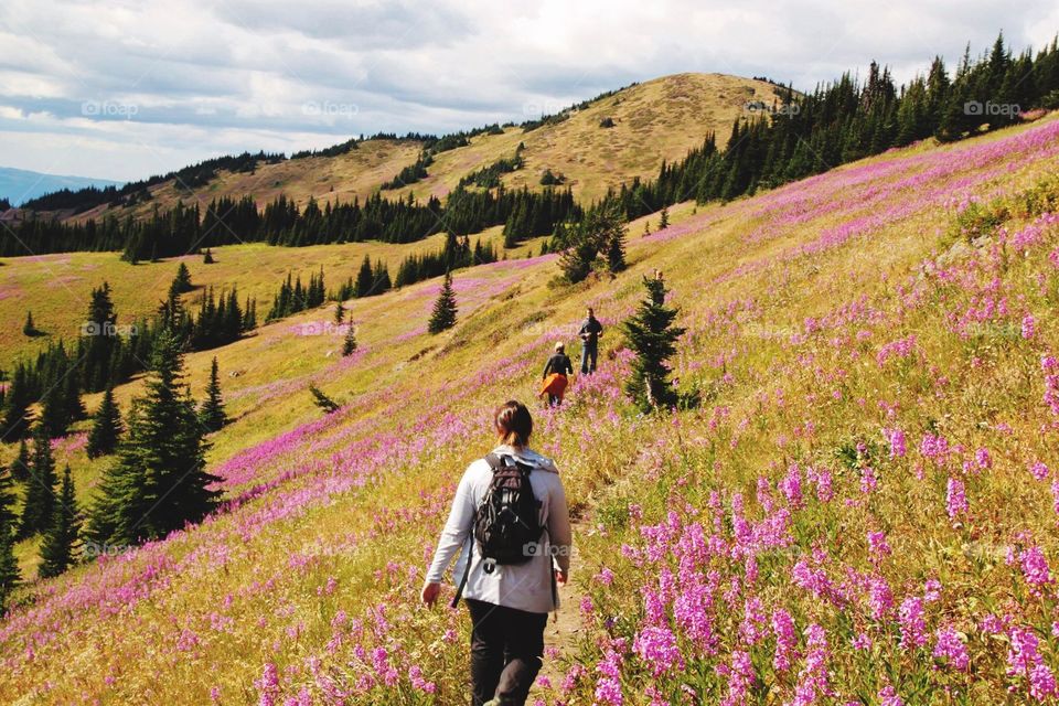 Sunpeaks mountain hike! 