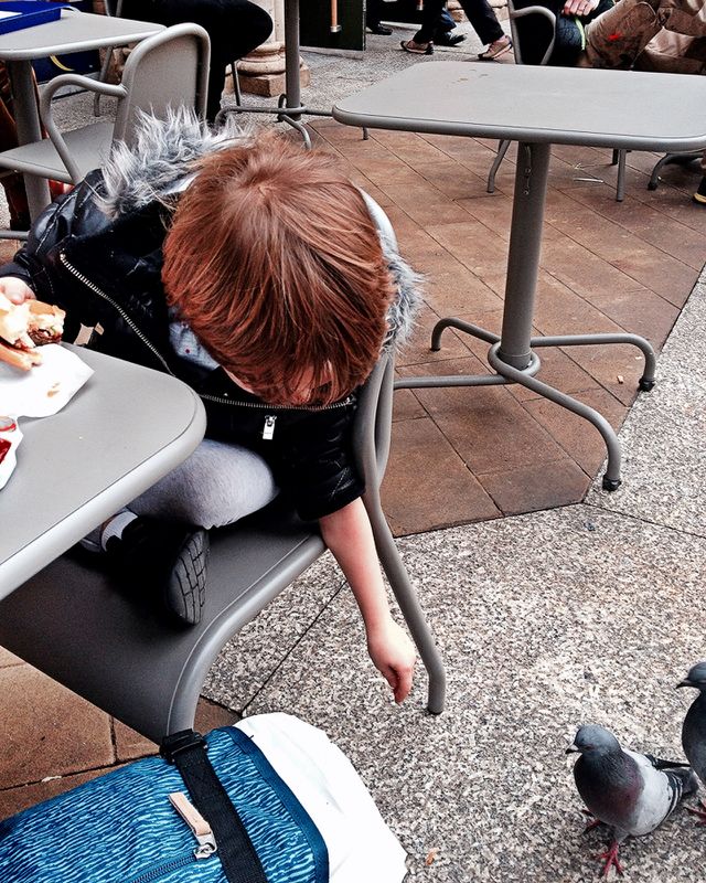 Feeding pigeons 