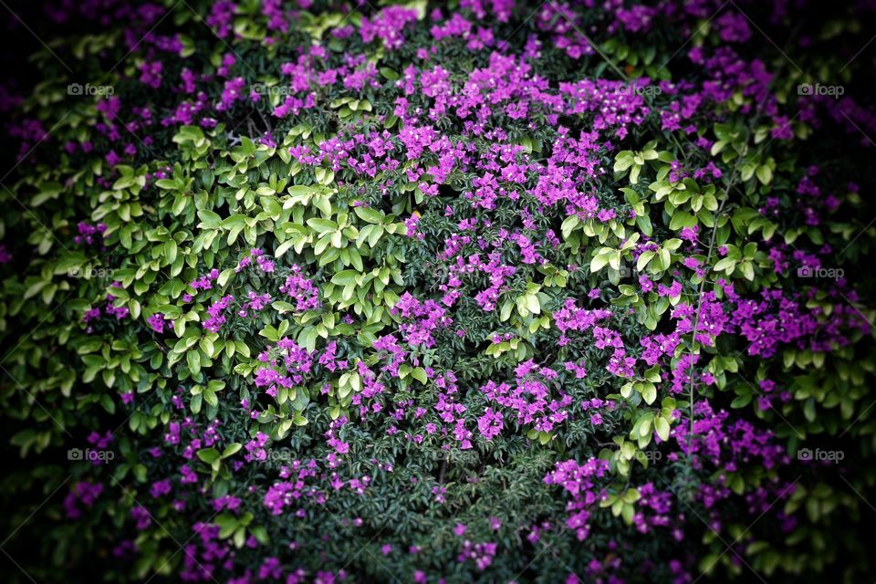 Texture 