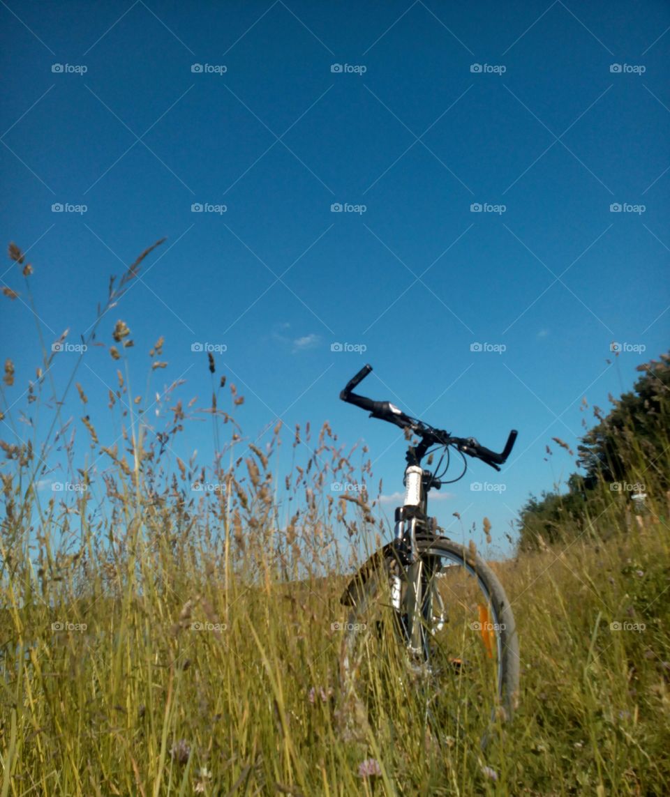 Bike, Sky, Wheel, Grass, Nature