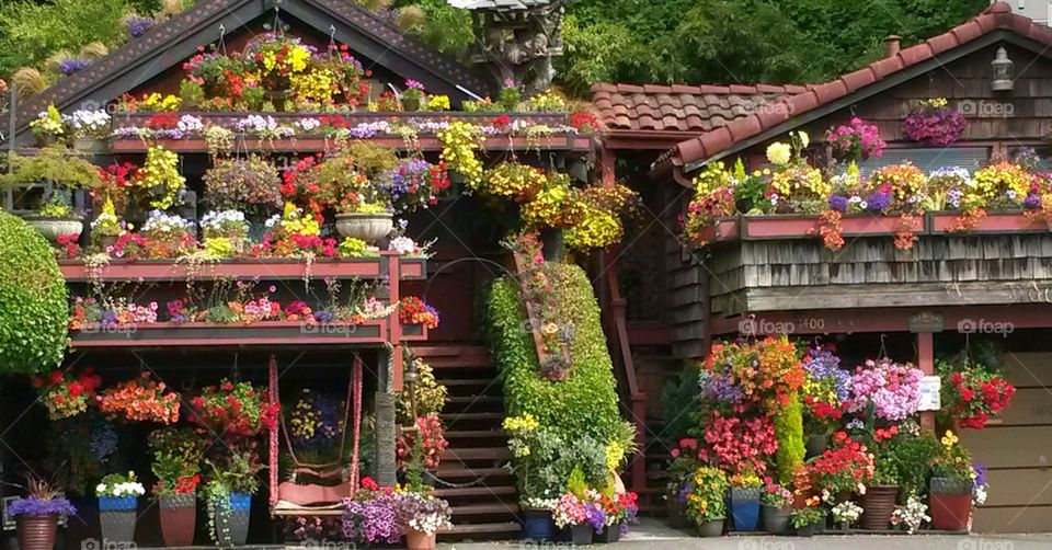 flower house