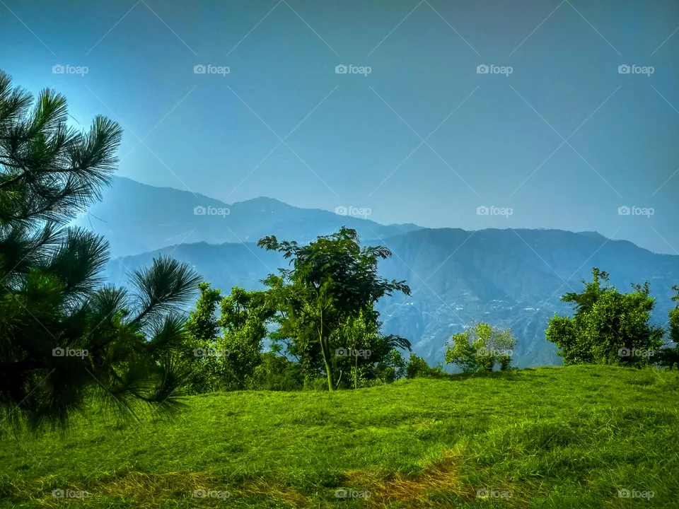 beautiful scenery