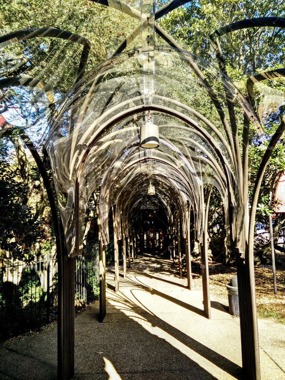 Glass Arch Walkway