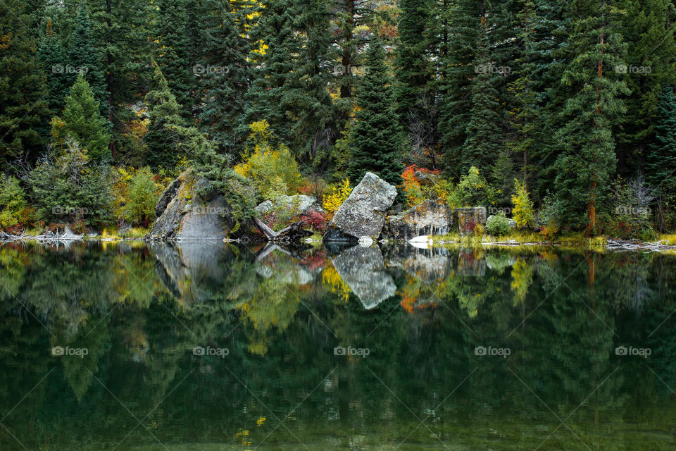 Water, Tree, Lake, Landscape, Reflection
